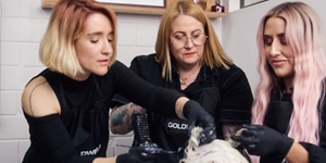 GW-LightDimensions-Services-Education-YT-M-Teaser